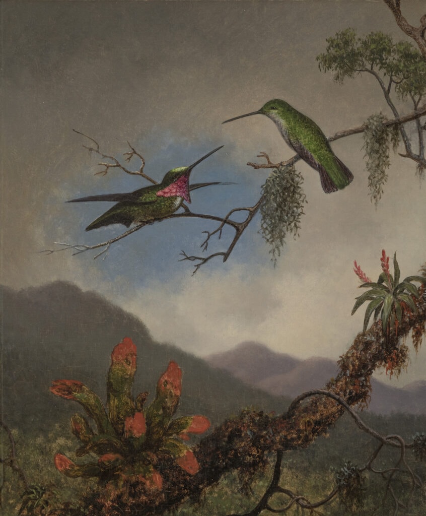 Martin Johnson Heade